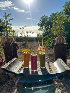 ArafoAfrikan Krisant Tenerife, Casa Rural Ecologica的坐在桌子上,背靠海滩,喝三杯鸡尾酒