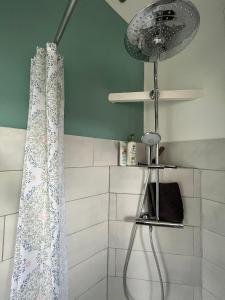 TeilhetMaison independante pour 2 tout inclus Tiny House for 2 all included的带淋浴和浴帘的浴室