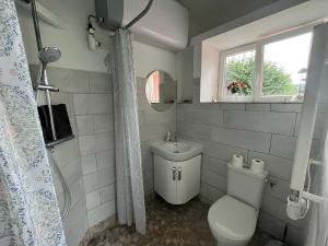 TeilhetMaison independante pour 2 tout inclus Tiny House for 2 all included的一间带卫生间、水槽和窗户的浴室