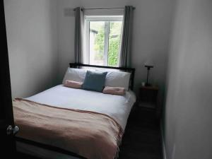 基尔肯尼Ballybur Cottage的一张带两个枕头的床和一个窗户