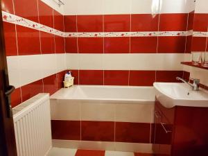 科瓦斯纳Apartman Lux的带浴缸和盥洗盆的浴室