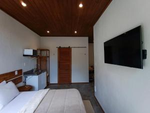 彼得罗波利斯Vista do Vale lofts - Itaipava的一间卧室配有一张床,墙上设有一台平面电视