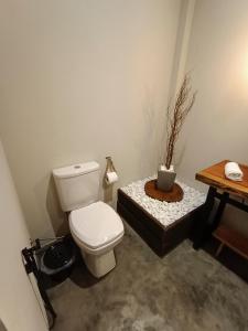 彼得罗波利斯Vista do Vale lofts - Itaipava的一间带卫生间的浴室和一张植物桌子