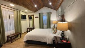 蒙泰韦尔德哥斯达黎加Camino Verde B&B Monteverde Costa Rica的一间卧室配有床、灯和窗户