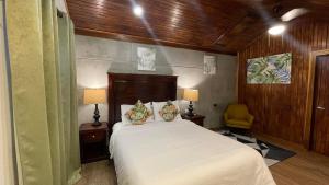 蒙泰韦尔德哥斯达黎加Camino Verde B&B Monteverde Costa Rica的一间卧室配有一张床、两盏灯和一把椅子