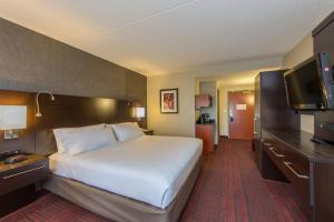奥本奥本快捷假日&套房酒店的一间酒店客房,配有一张大床和一台平面电视