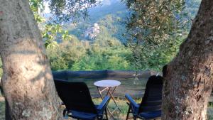 TresanaCa Giacomo的两棵树之间有两把椅子和一张桌子