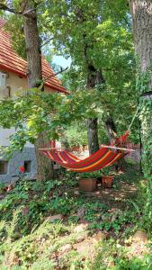 鲍洛通塞派兹德Szepihenő的吊床挂在院子里两棵树上