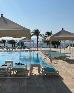 Al BurjFlat One Room Apartment Talabay Aqaba的一个带躺椅和遮阳伞的游泳池