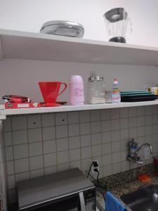 巴西利亚Apartamento aconchegante no Sudoeste的厨房设有水槽和餐具架
