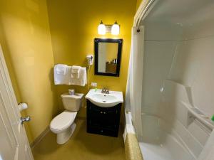 迪尔莱克漂流木宾馆的浴室配有卫生间、盥洗盆和淋浴。