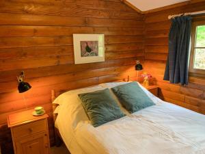 牛顿莫尔松鼠景观乡村别墅的卧室配有木墙内的一张床