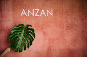 圣马科斯拉拉古纳Anzan Atitlan的红墙上绿色植物,用亚马逊语