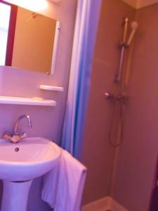 卢尔德安妮公爵夫人酒店的浴室配有盥洗盆和带镜子的淋浴