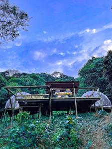 比亚维森西奥Glamping Itawa & Ecoparque turístico的树木繁茂的田野中间的一张床位