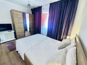 巴克乌Apartament in Regim Hotelier的卧室配有白色的床和电视。