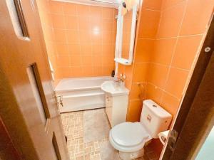 巴克乌Apartament in Regim Hotelier的一间带卫生间和浴缸的小浴室
