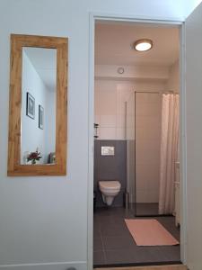 阿姆斯特丹Dubbelink 3A的一间带卫生间和镜子的浴室