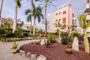 滨海帕尔姆Mambo Palm-Mar apartment的一座花园,在一座建筑前种植了仙人掌和棕榈树