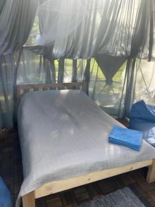 GinučiųPušų gaudyklė的帐篷内的一张床铺,上面有一条蓝色的毛巾