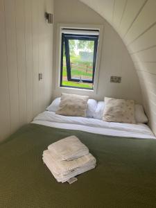 基尔代尔Kildare countryside pods的一个小房间的一个床位,设有窗户