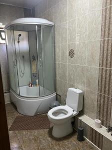 比什凯克Уютная вилла в центре Бишкека的带淋浴和卫生间的浴室。
