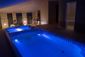 博特阿瑞尔卡尔巴贝尔酒店的带淋浴的浴室内的大蓝色浴缸