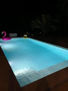 文蒂塞里Maison de vacances的游泳池晚上有天鹅