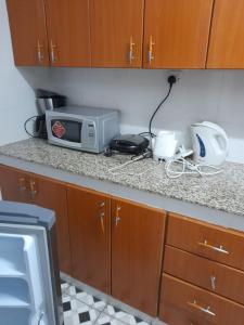 纳库鲁Jacky's Milimani suites的厨房柜台配有微波炉和烤面包机。