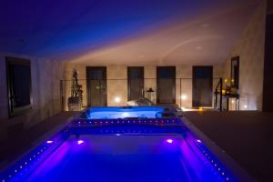 博特阿瑞尔卡尔巴贝尔酒店的紫色灯房内的热水浴池