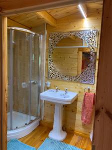 卡纳芬Songbird Lodge - Near brew pub/10 mins from Snowdon的一间带水槽、淋浴和镜子的浴室