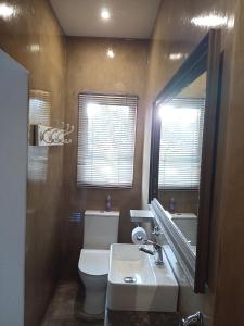 昆斯敦The Oak Tree的一间带卫生间、水槽和镜子的浴室