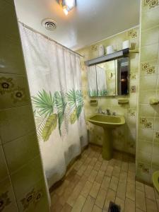 门多萨Panda Hostel Mendoza的一间带水槽和淋浴帘的浴室