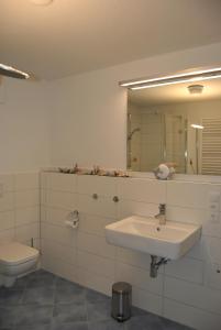 朱列斯拉赫Ferienwohnung Blaubärstrand的一间带水槽、卫生间和镜子的浴室
