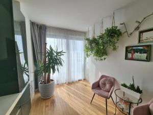卡托利卡Anastasia's boutique apartment的客厅配有椅子和盆栽植物