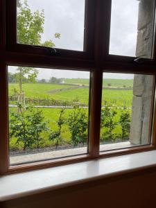 卡斯尔巴Creevagh Cottage的享有绿色田野景致的窗户