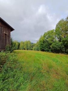 OckelboHus i lugn och naturskön miljö的一片草地,有古老的谷仓和树木