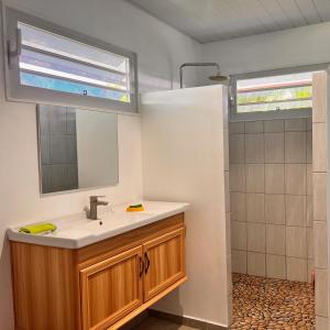 HauruFare Mihiau的一间带水槽、镜子和淋浴的浴室