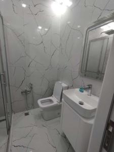 巴库BAKU CITY的一间带卫生间、水槽和镜子的浴室