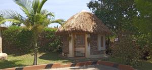 恩德培Plastic Bottles House的一间有稻草屋顶和棕榈树的小小屋