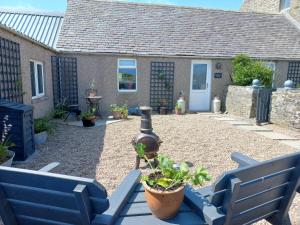 SandayOrkney Retreats 1 2 and 3 bedroom Island Farmhouses & Cottages的庭院设有2个蓝色长椅和1座房子