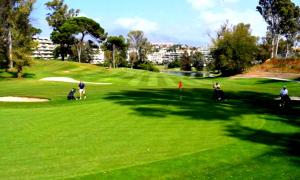 马贝拉Apartamento en Marbella junto a campos de golf的一群人在高尔夫球场打高尔夫