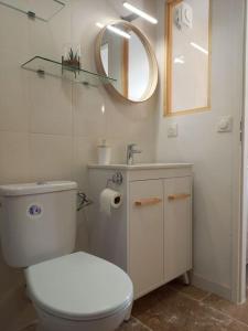 蒙布舍叙尔雅布龙Le studio d'Alexandre - Terrasse et Parking -的一间带卫生间、水槽和镜子的浴室