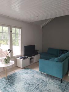 赫尔辛基Private room in a house w/ pool的客厅配有蓝色的沙发和电视