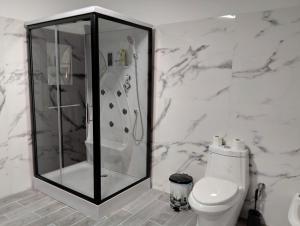戈里察Dhoma romantike , qetesi absolute!的带淋浴和卫生间的白色浴室