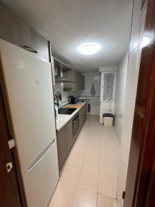 厄尔梅达诺Apartamento LOLO的厨房配有白色冰箱和水槽