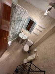 厄尔梅达诺Apartamento LOLO的一间带水槽、卫生间和镜子的浴室