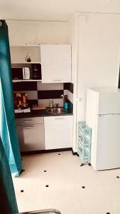 法兰西堡Studio centre de Fort-de-France的厨房配有水槽和冰箱