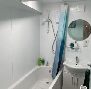 牛津Turtle Dove Apartment的带浴缸、水槽和镜子的浴室