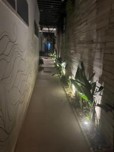 圣保罗Espaço Coletivo Zen &Catividade的暗走廊上设有砖墙和植物